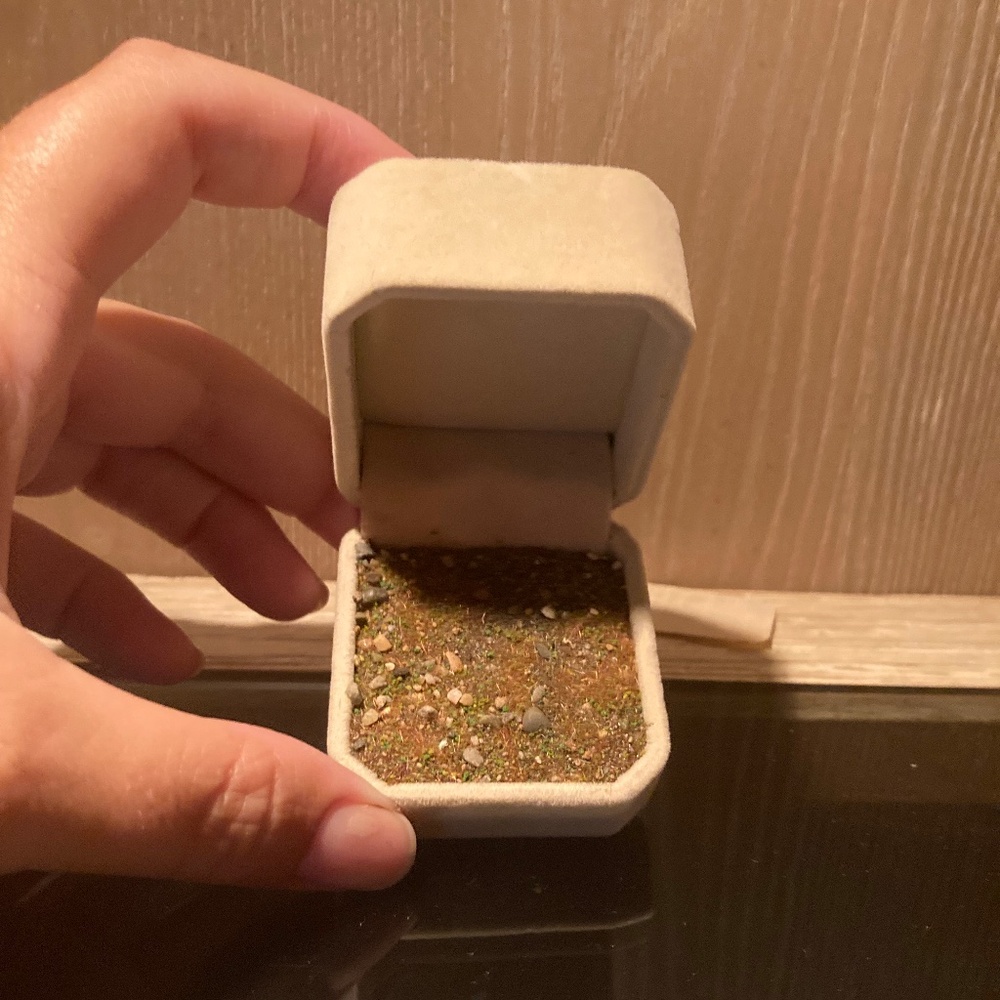 Unique unusual velvet gift box, jewelry charm ring with earth